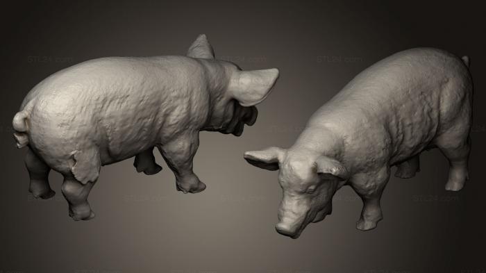 Статуэтки животных (Мангалица, STKJ_0578) 3D модель для ЧПУ станка